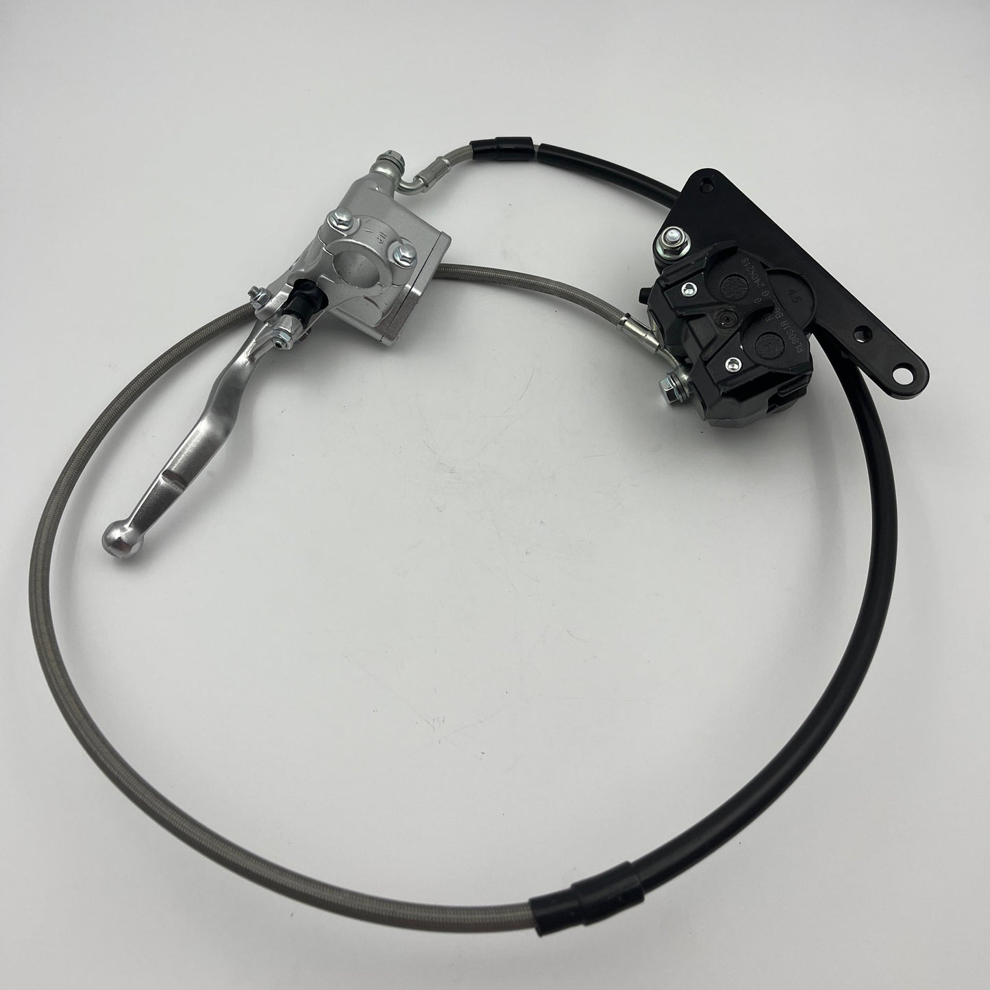 Rear Brake Assembly