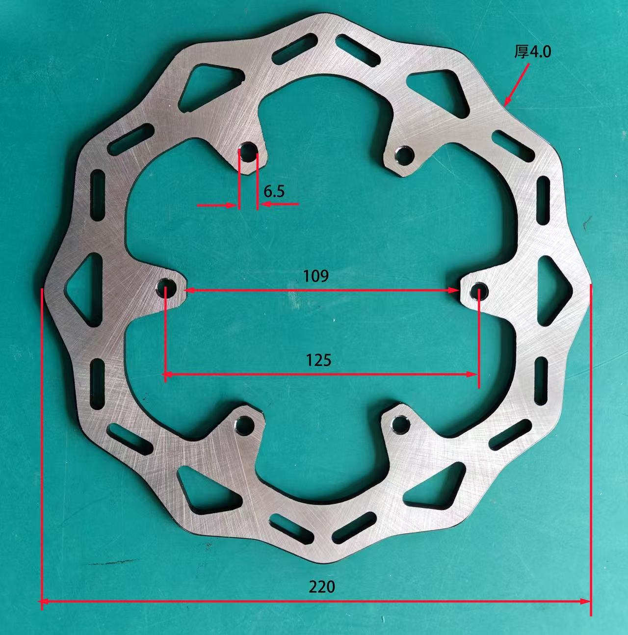 Rear Brake Disc