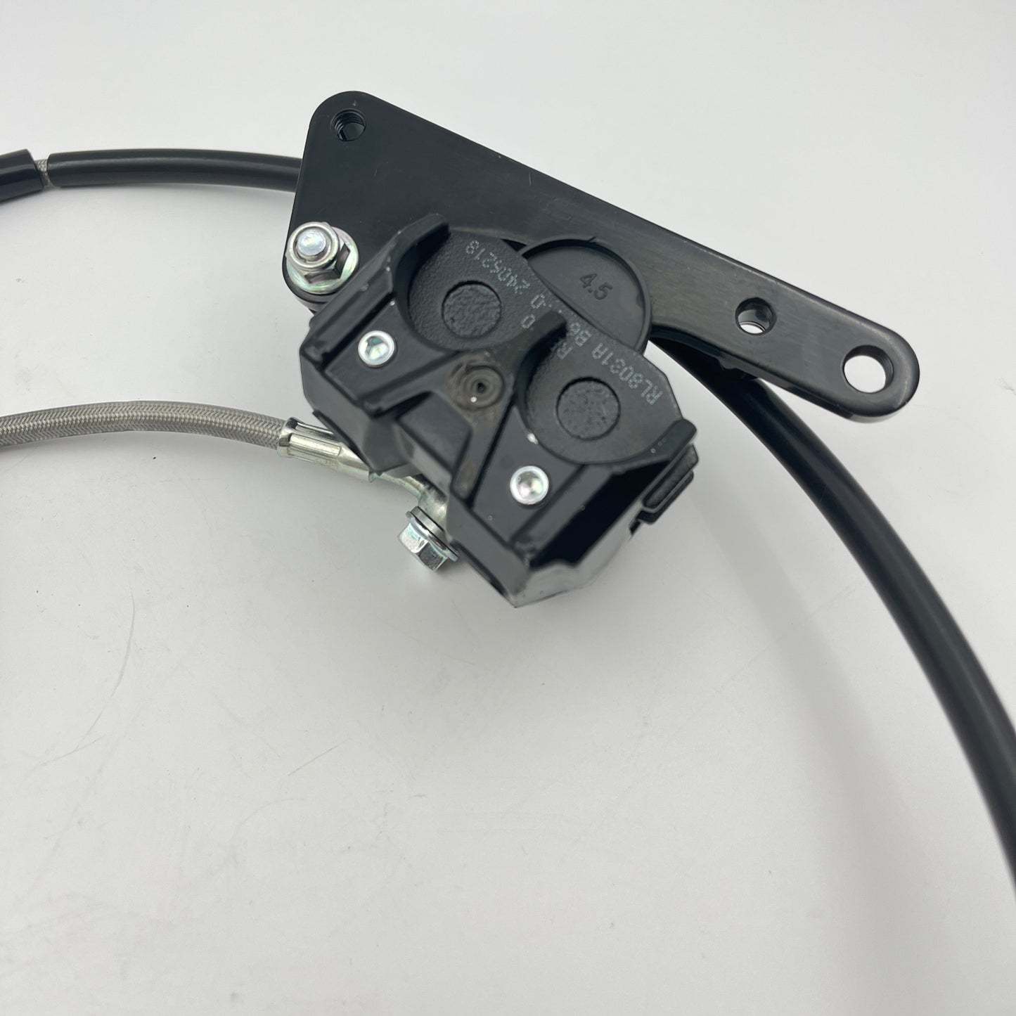Rear Brake Assembly