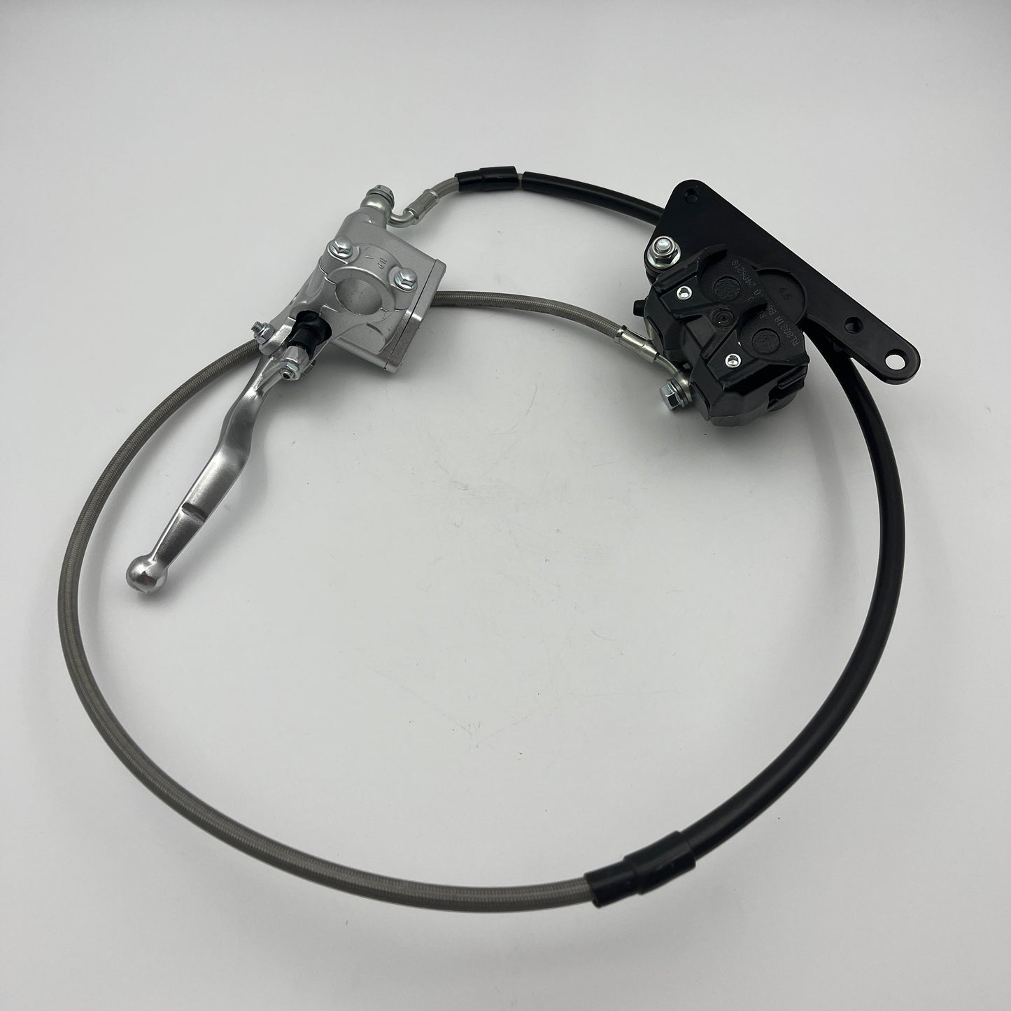 Rear Brake Assembly